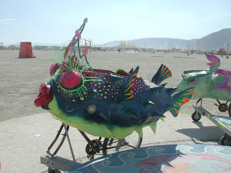 DSCN5777.jpg 71.2K