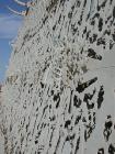 DSCN5963.thumb.jpg 5.4K
