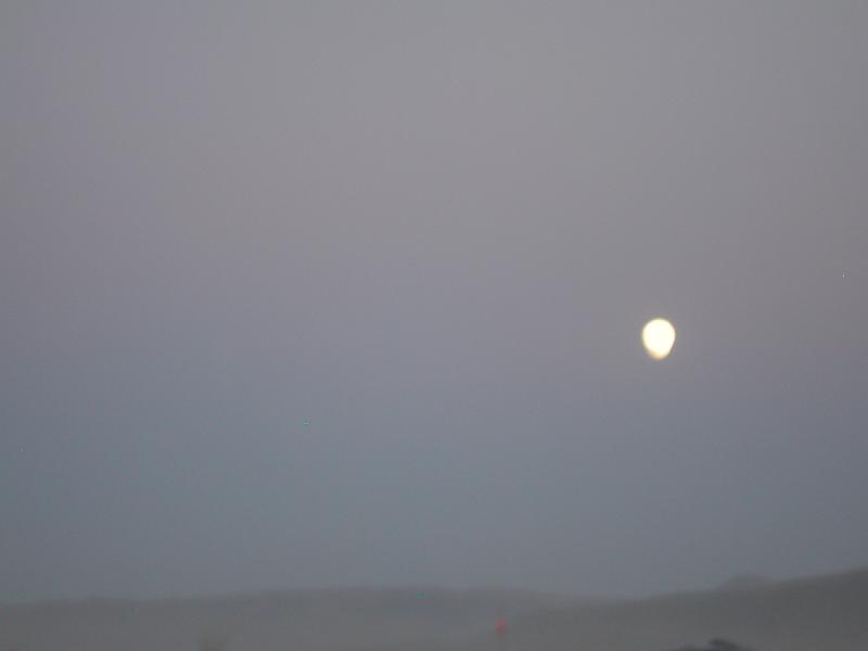 DSCN5981.jpg 10.7K