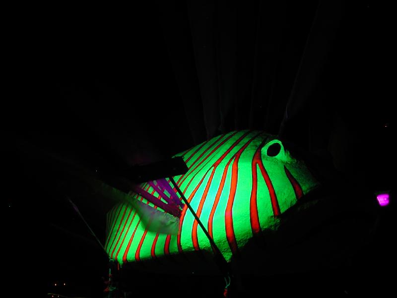 DSCN6070.jpg 29.3K